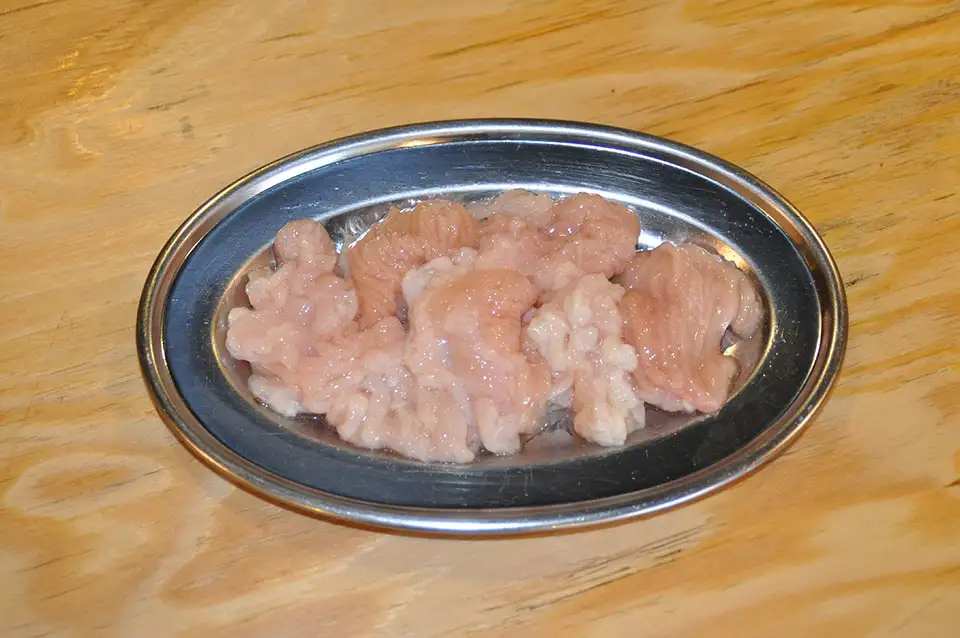 Abomasum (Red Sentinel)
