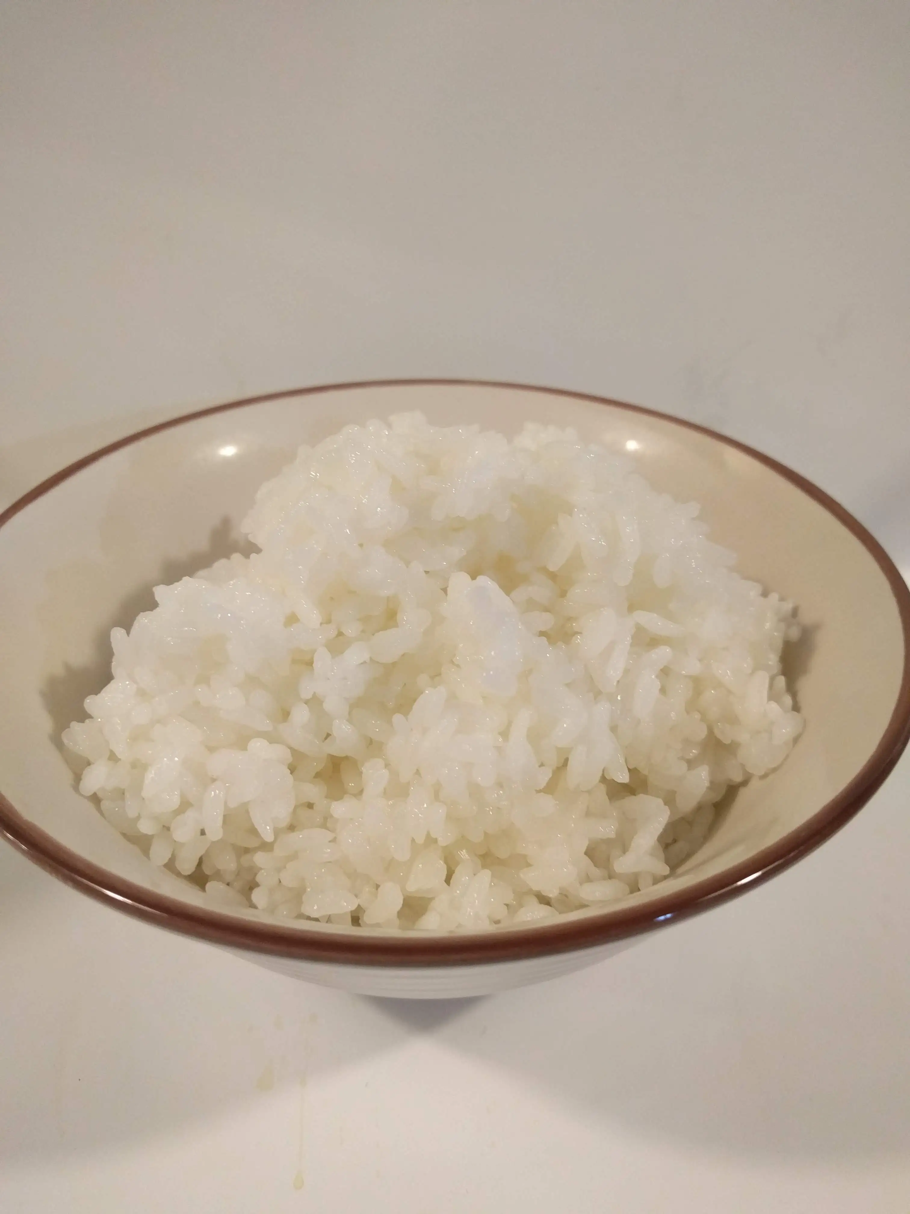 Rice (Large)